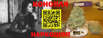 прущие грибы Камышлов